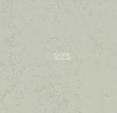 Линолеум Forbo Marmoleum Decibel on Order 373235 asteroid фото 1 | FLOORDEALER